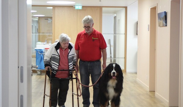 eisbrecher hund therapiehunde bringen menschenaugen zum strahlen osthessen news