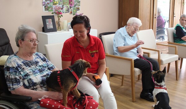 eisbrecher hund therapiehunde bringen menschenaugen zum strahlen osthessen news