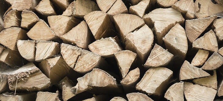 Demnächst werden Waldbesitzer ab einer größe von 100 Hekta ihr eigens Holz verkaufen können, ohne auf HessenForst im eigenen Wald zu haben